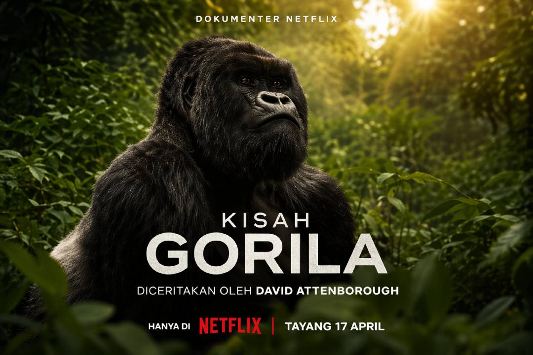 A Gorilla Story: Kisah Haru Keluarga Gorila dan Perjuangan Mereka Bertahan di Alam Liar